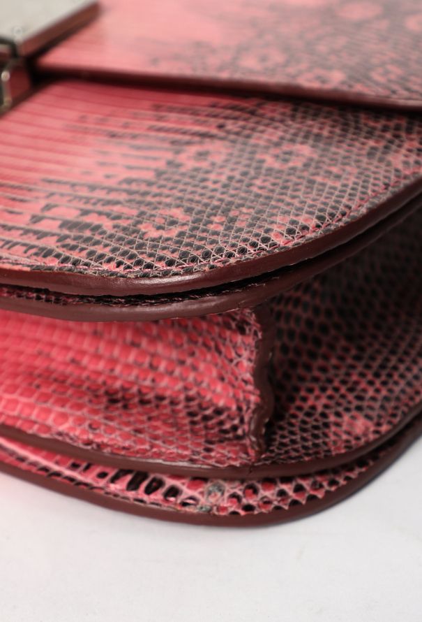 Céline Classic Varanus Salvator Lizard  Bag - 9 Céline Classic Varanus Salvator Lizard  Bag - 9