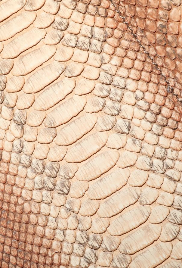 Prada RARE S/S 2004 Python Belted Trench - 8 Prada RARE S/S 2004 Python Belted Trench - 8