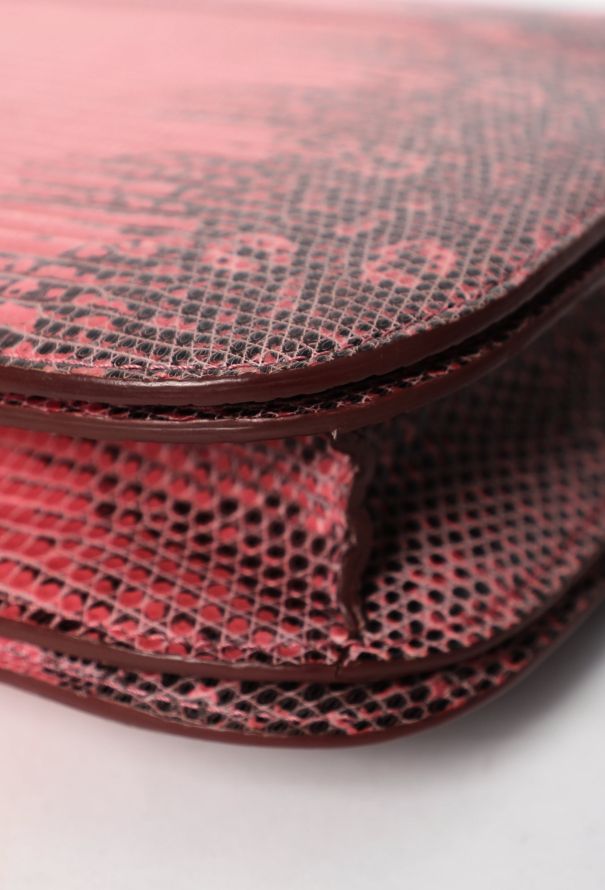 Céline Classic Varanus Salvator Lizard  Bag - 8 Céline Classic Varanus Salvator Lizard  Bag - 8