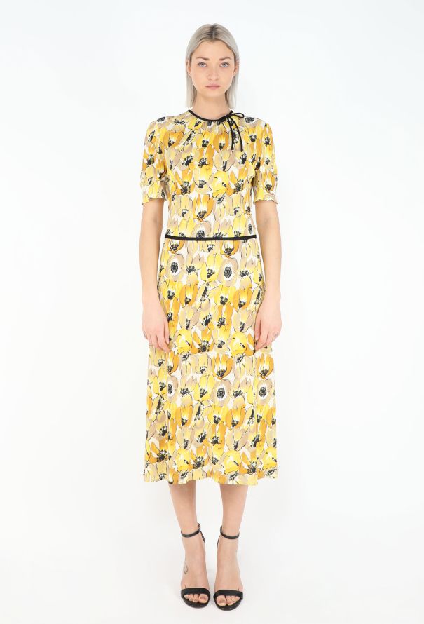 Prada Re-Edition F/W 2000 Poppy Dress - 1