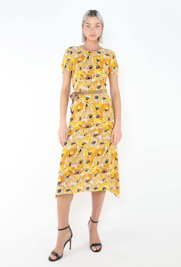 Prada Campaign F/W 2000 Poppy Chiffon Dress - 6