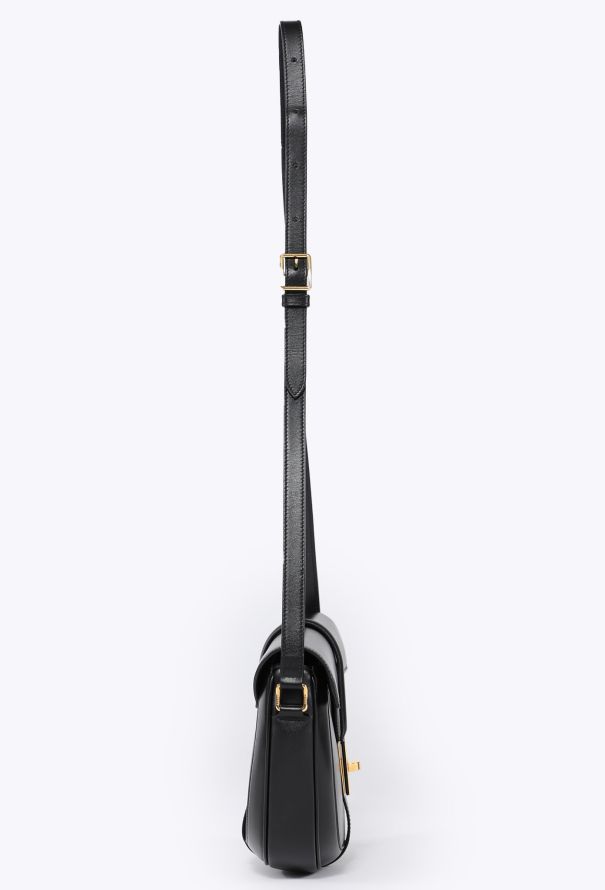 Céline S/S 2019 Small Besace 16 Crossbody Bag - 6