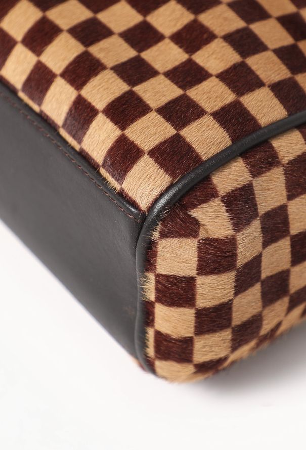 Louis Vuitton Damier Sauvage Lionne Bag - 8