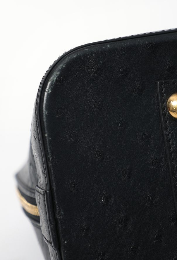 Louis Vuitton Ostrich Alma GM Bag - 9