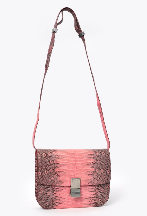 Céline Classic Varanus Salvator Lizard  Bag - 2 Céline Classic Varanus Salvator Lizard  Bag - 2