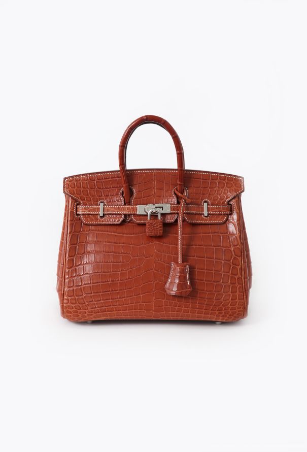 Hermès Collector Fauve Matte Niloticus Birkin 25 - 1