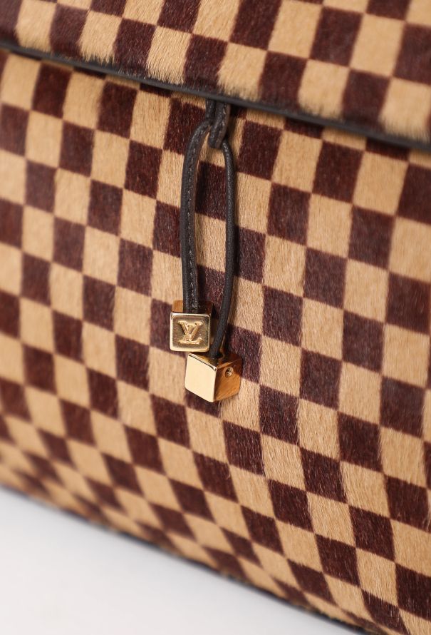 Louis Vuitton Damier Sauvage Lionne Bag - 12