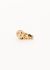                             Ilias Lalaounis 18k Gold, Black Enamel, Diamond & Ruby Lion Head Ring - 1