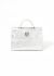 Christian Dior S/S 2016 Silver Diorever Bag - 1