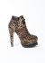                                         Leopard Print Lace-Up Booties-1