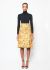 Balenciaga F/W 2016 Brocade Silk Skirt - 1
