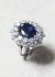                                         18k White Gold, Sapphire & Diamond Daisy Ring-1