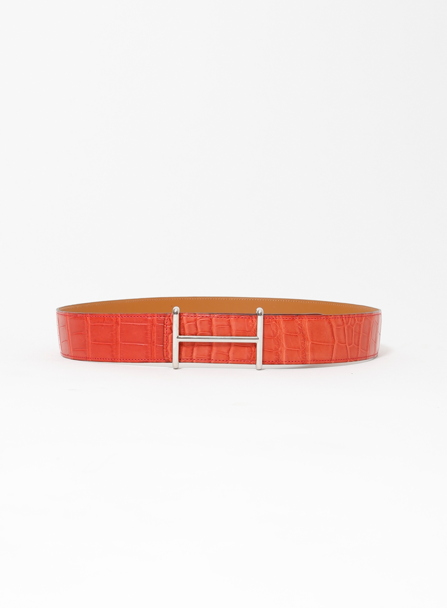 Thin Alligator  display picture 1