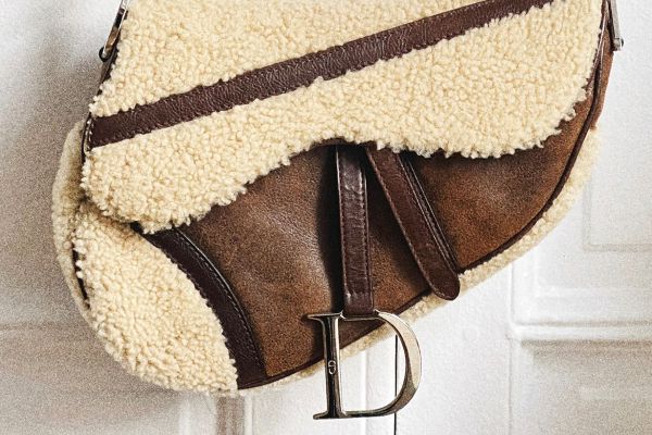 The Dior Saddle Bag
